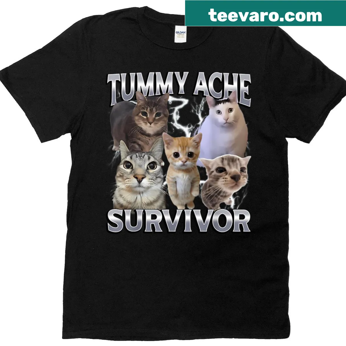 Funny cat meme t-shirt with humorous phrase about tummy aches — on a men's t-shirt