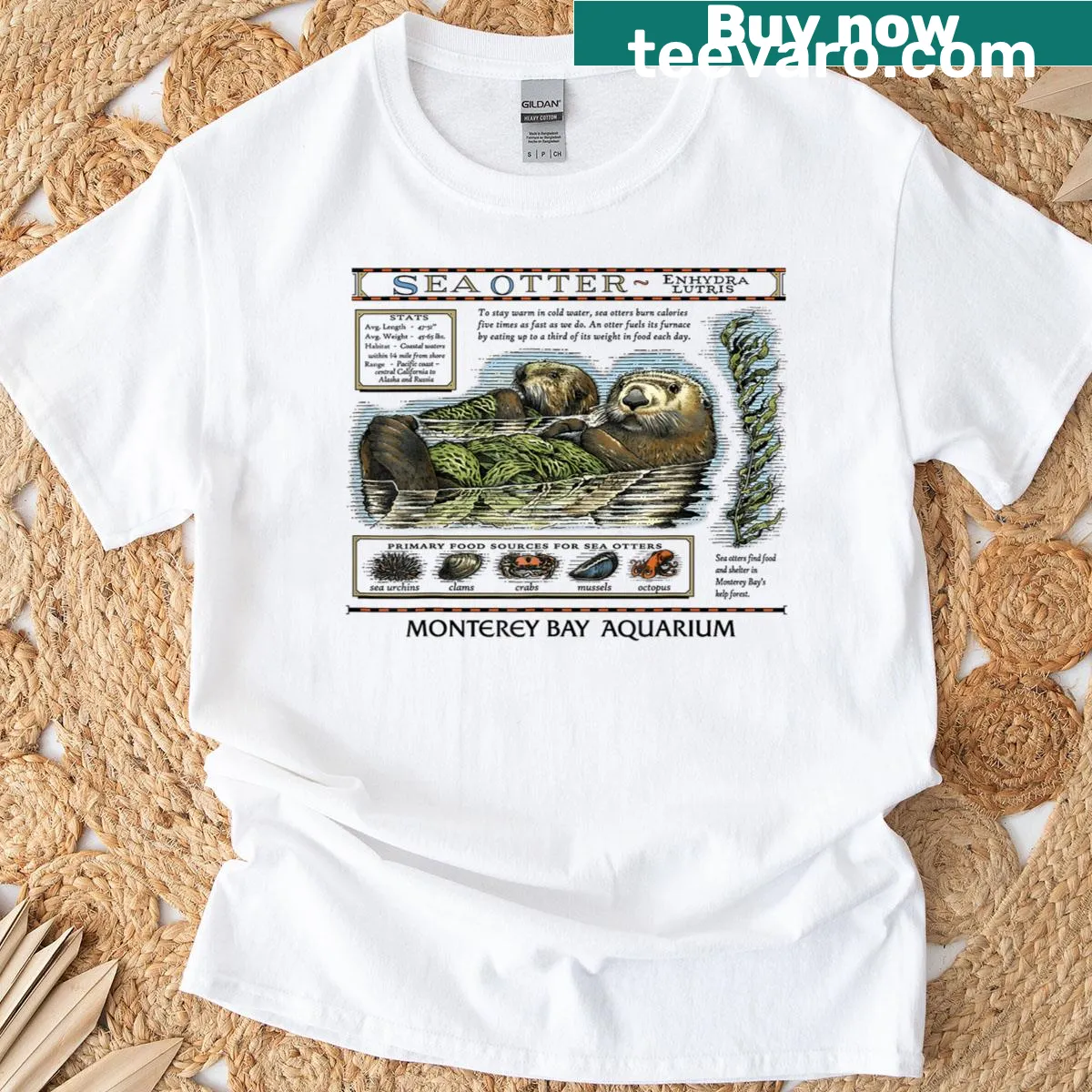 Vintage-style T-shirt featuring playful sea otters illustration — on a men's t-shirt