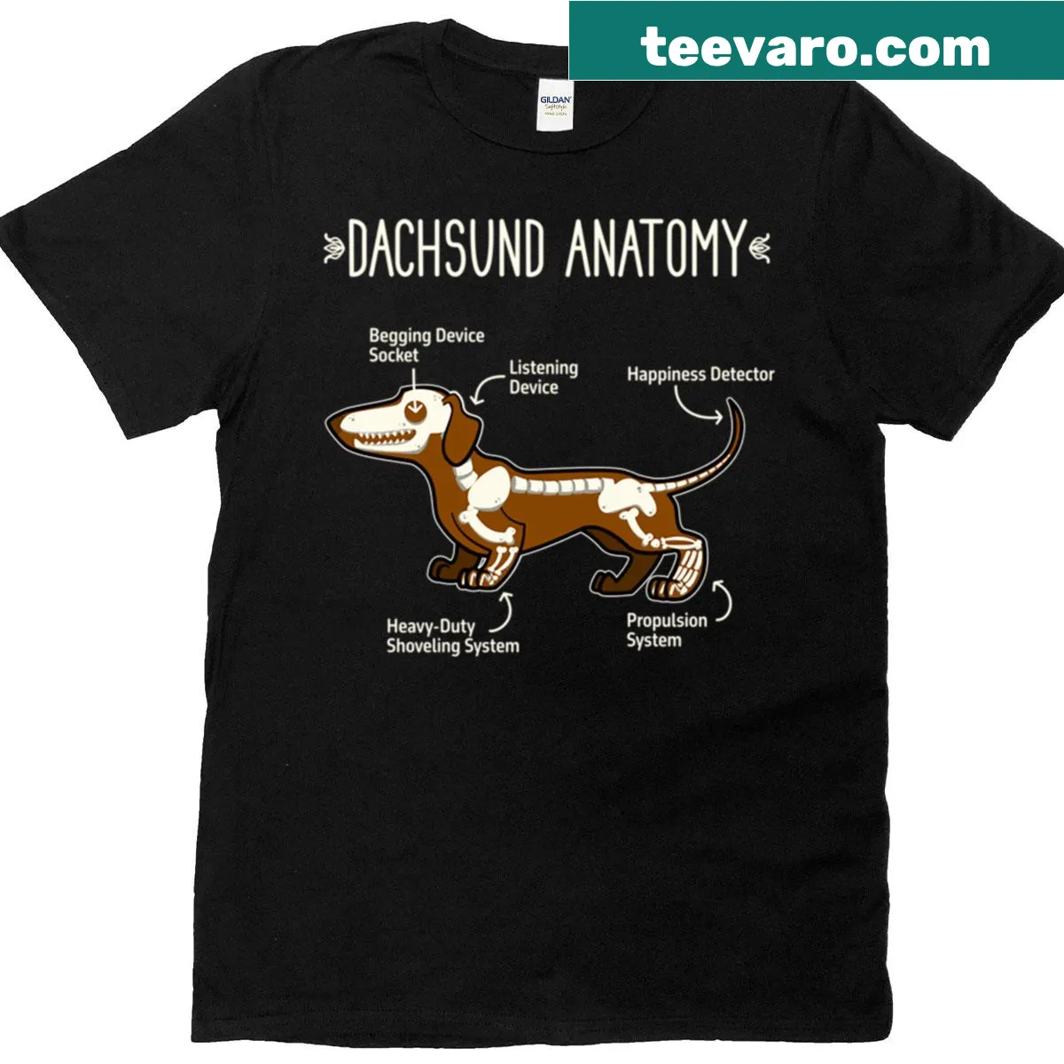 Dachshund anatomy graphic T-shirt for dog lovers — on a men's t-shirt