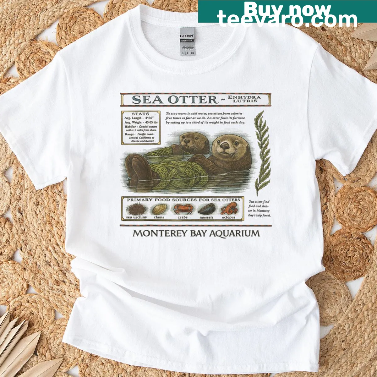 Vintage T-shirt with a playful sea otter graphic and 90s aquarium design. — on a men's t-shirt