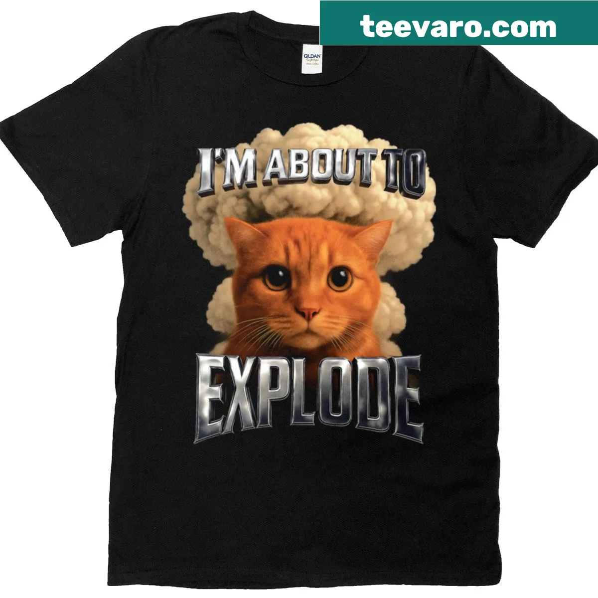 Funny cat meme t-shirt with vintage aesthetic design. — on a men's t-shirt