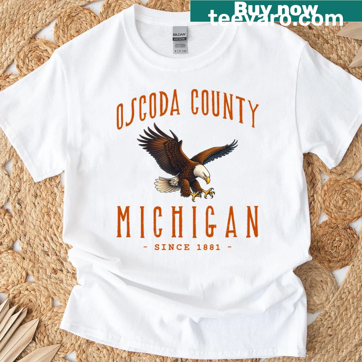Retro-style T-shirt featuring an eagle graphic inspired by Oscoda County, Michigan — on a men's t-shirt