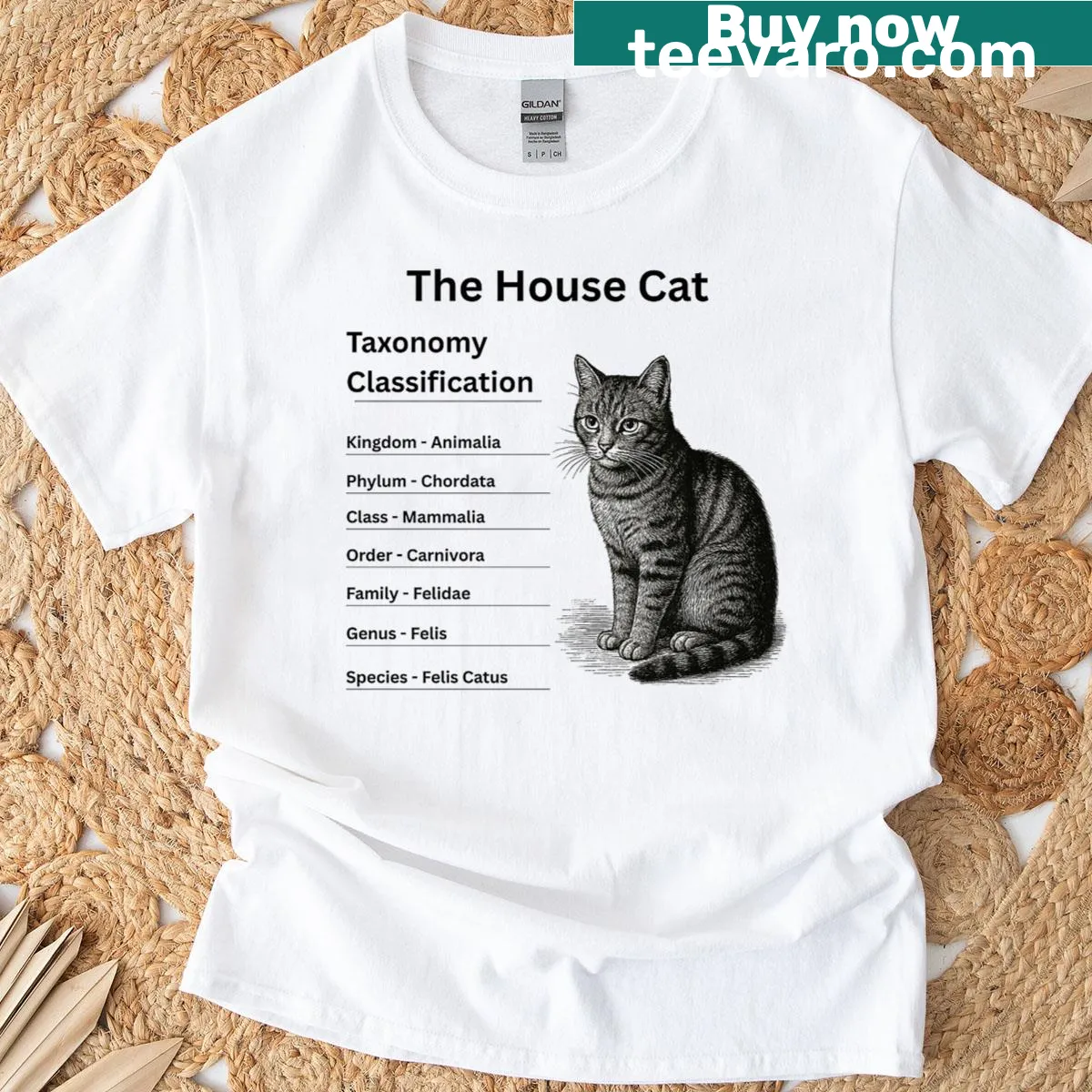 Whimsical t-shirt featuring cat taxonomy illustrations — on a men's t-shirt