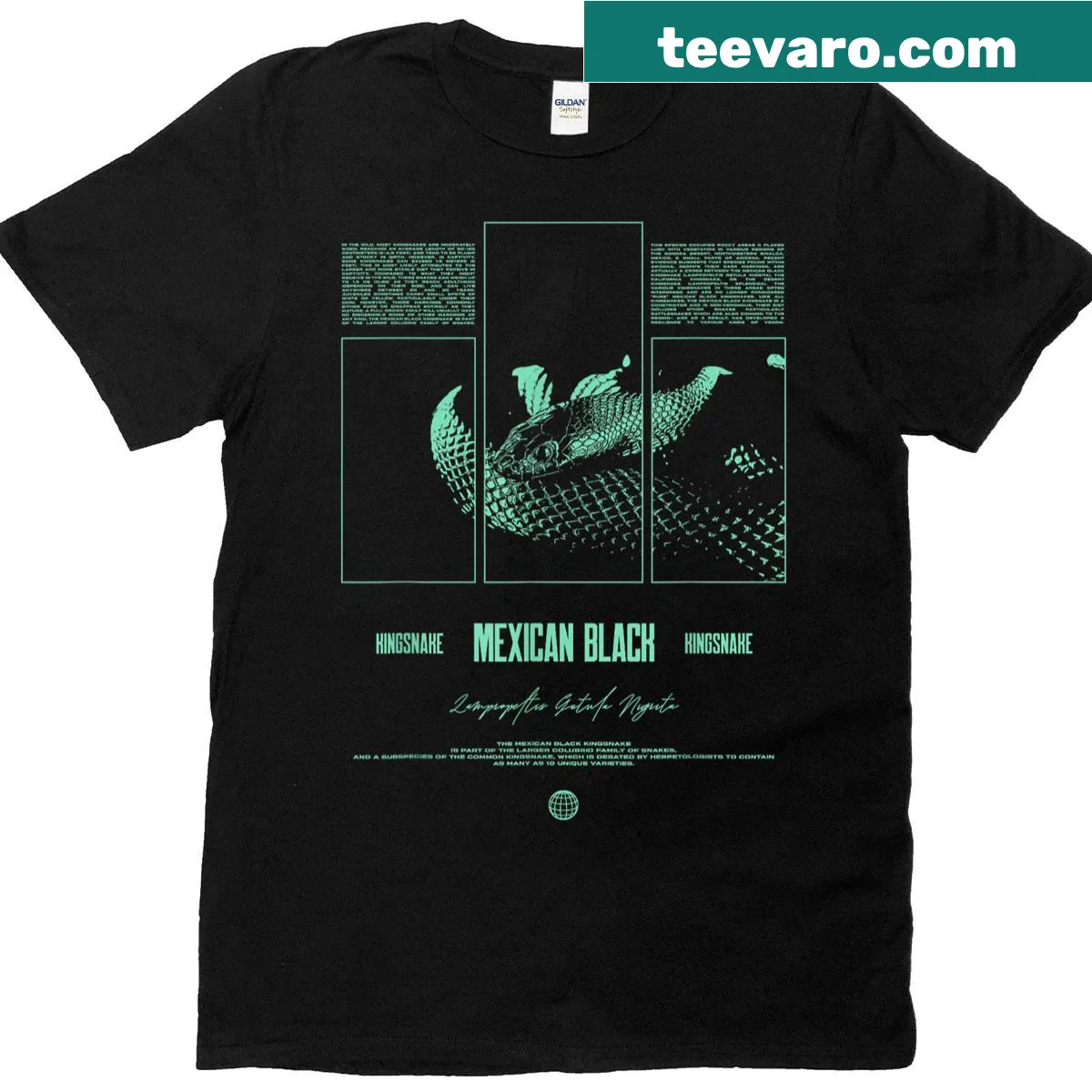 Illustrated Mexican Black Kingsnake t-shirt for snake enthusiasts — on a men's t-shirt