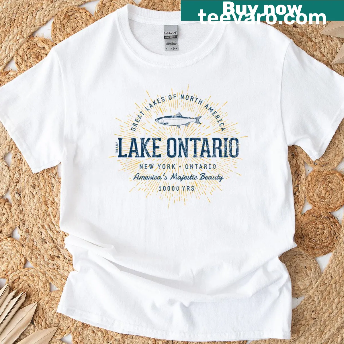 Vintage Lake Ontario t-shirt with retro design — on a men's t-shirt