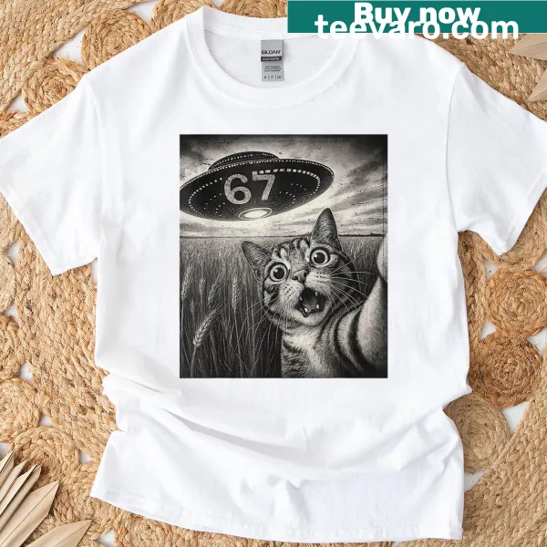 Cartoon UFO with a cat taking a selfie, featuring meme graphics.