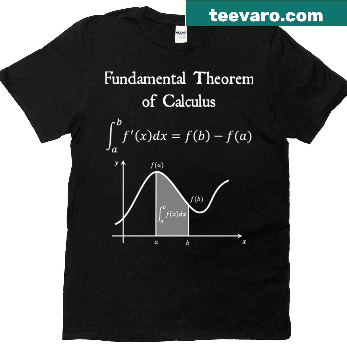 Vintage-style t-shirt featuring the Fundamental Theorem of Calculus in white — on a men's t-shirt