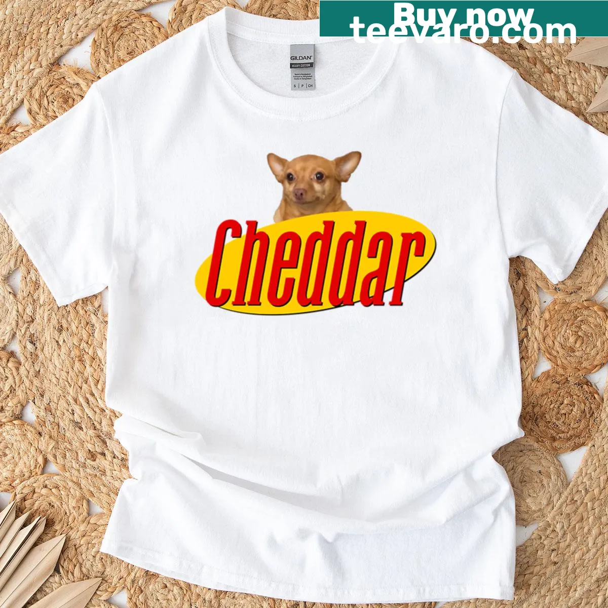 Playful Cheddar cheese graphic T-shirt — on a men's t-shirt