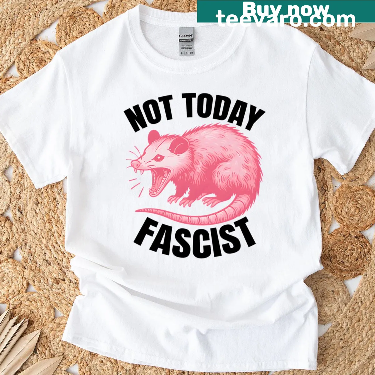 Funny cat meme t-shirt with the phrase 'Not Today Fascist' — on a men's t-shirt
