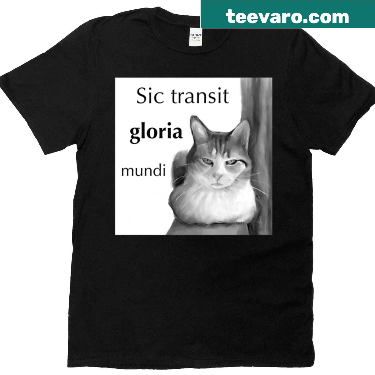Philosophical T-shirt with a cat graphic and humorous phrase about the transient nature of life. — on a men's t-shirt