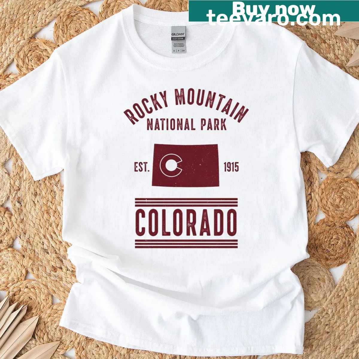 Rocky Mountain National Park T-shirt featuring vintage design — on a men's t-shirt