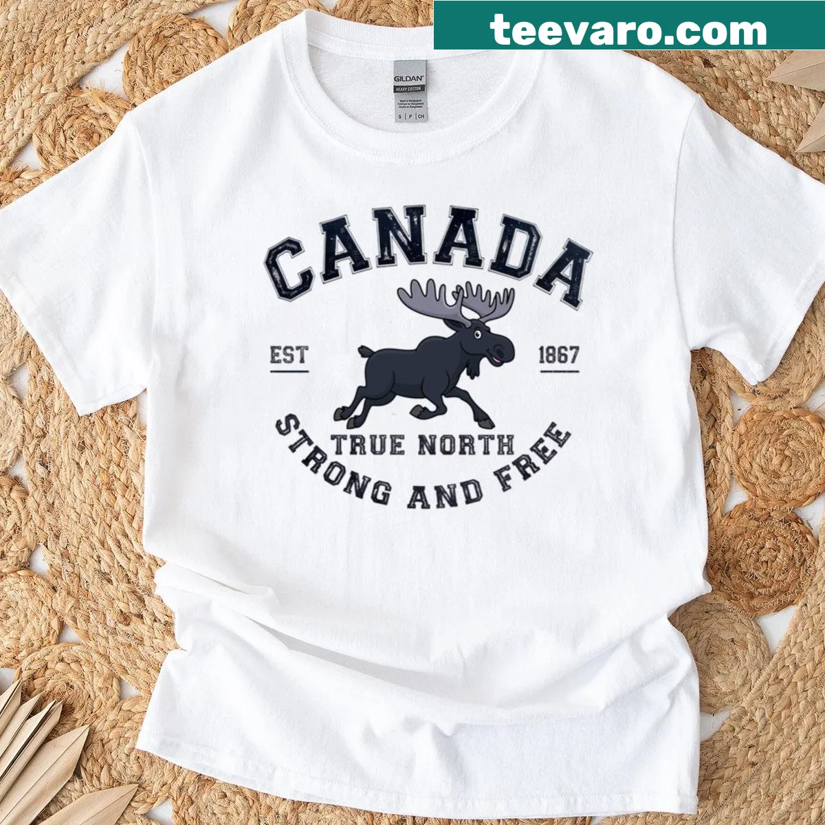 Vintage-style t-shirt with 'True North' moose emblem graphic — on a men's t-shirt
