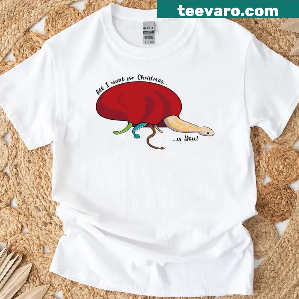 Santa t-shirt with cartoon snakes in a sack, humorous design