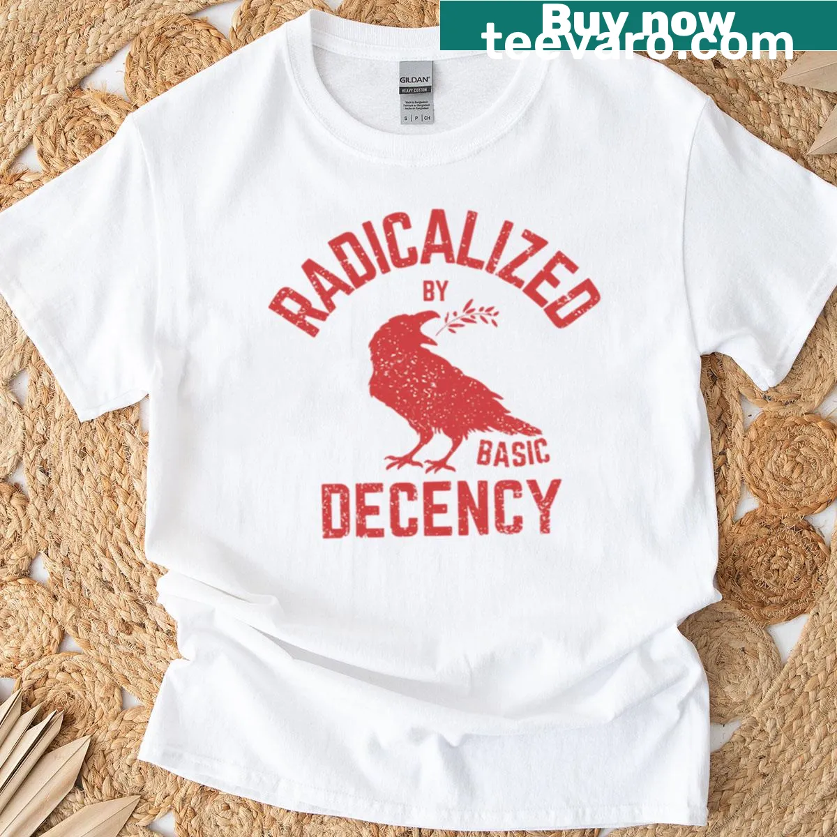T-shirt with the text 'Radicalized By Basic Decency' — on a men's t-shirt