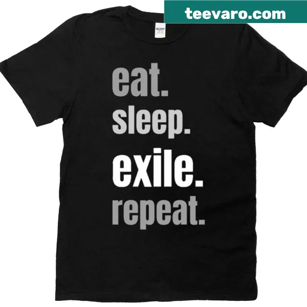 Path of Exile themed t-shirt with humorous gaming sayings