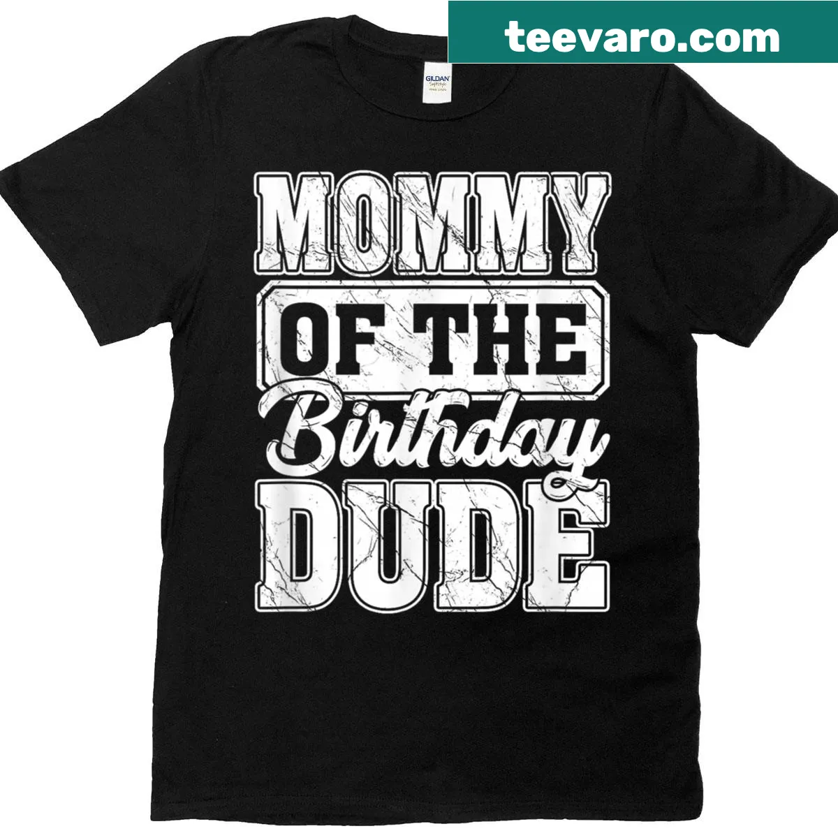 Cute birthday t-shirt for moms with 'Mommy Of The Birthday Dude' text — on a men's t-shirt