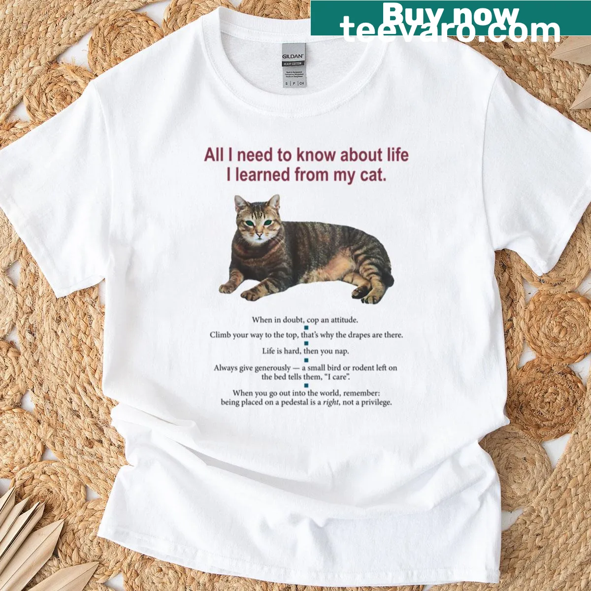 T-shirt with the quote about life lessons learned from a cat — on a men's t-shirt