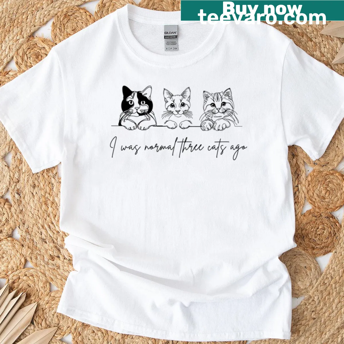 Funny T-shirt for cat lovers with whimsical cat phrase — on a men's t-shirt