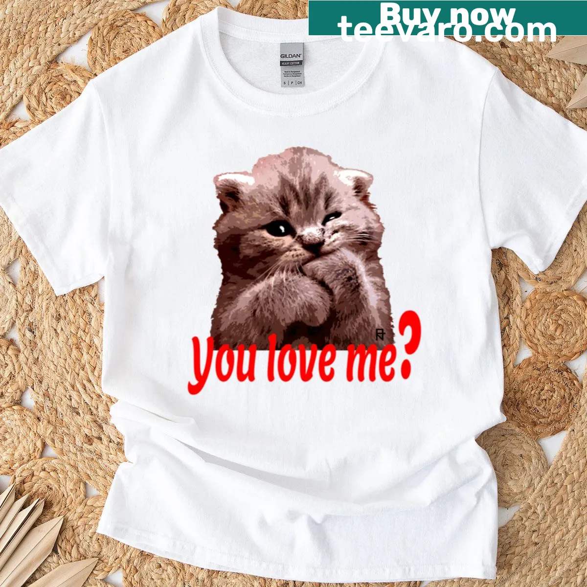 Cute shirt featuring the phrase 'Kochany Kotek' and a playful cat graphic — on a men's t-shirt