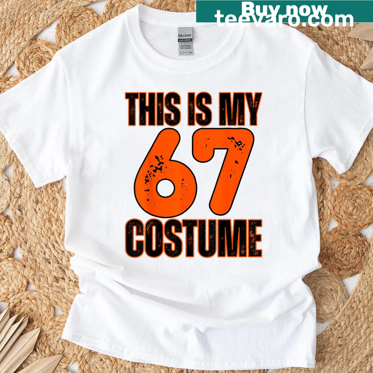 Funny meme T-shirt for kids featuring 'This Is My 67 Costume' text — on a men's t-shirt