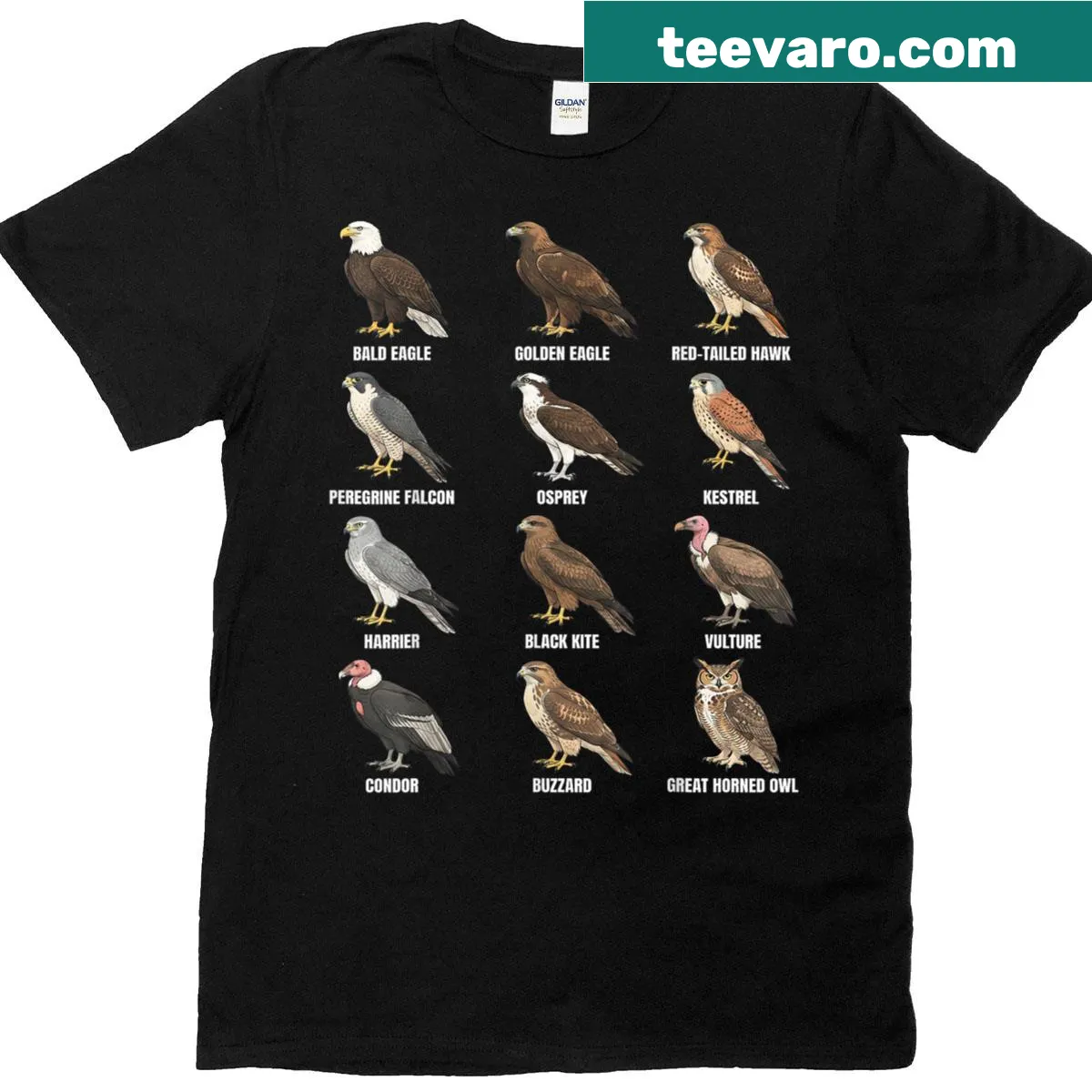 Illustrated species chart of birds of prey graphic on a T-shirt — on a men's t-shirt