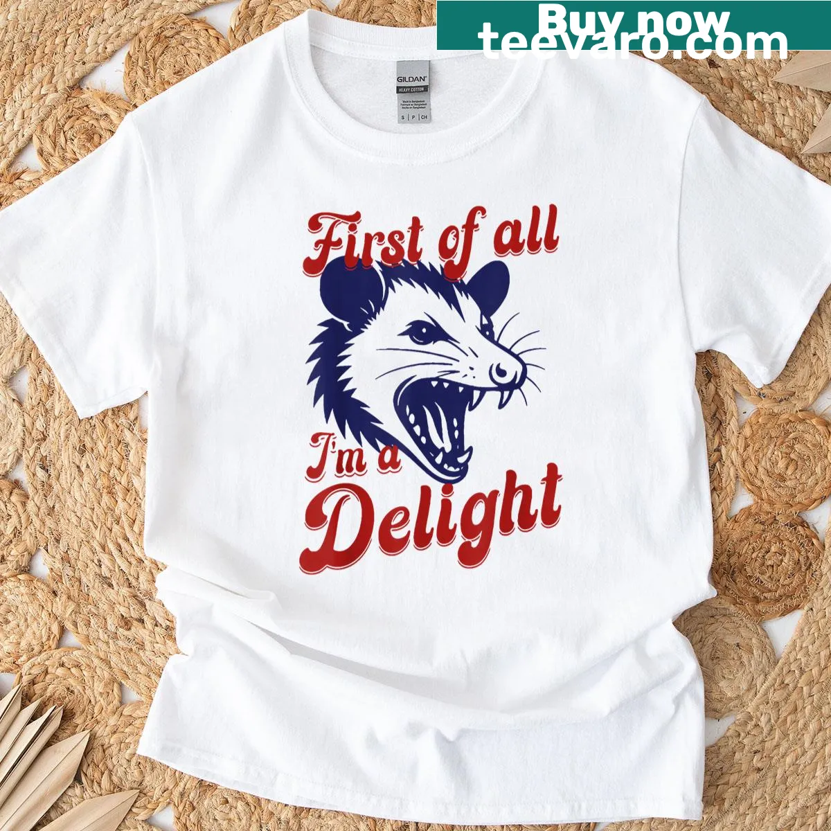 Opossum-themed shirt with the phrase 'First Of All I'm A Delight' — on a men's t-shirt