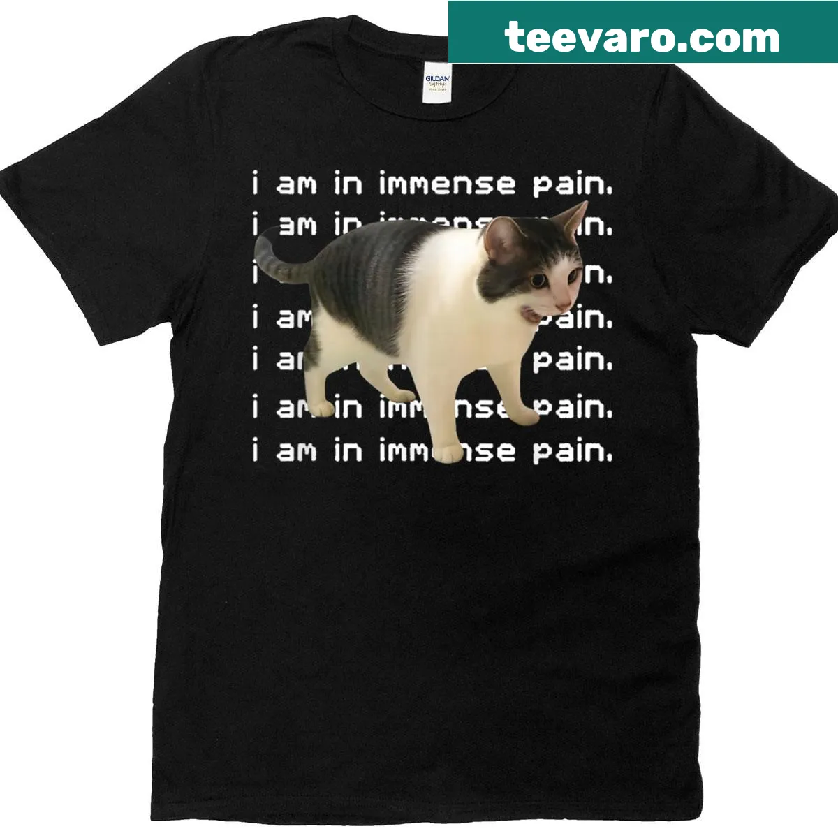 Cat meme t-shirt with 'I Am In Immense Pain' quote — on a men's t-shirt