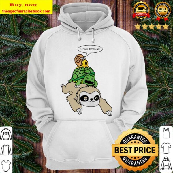 Sloth Piggyback Turtle And Snail Slow Down Hoodie