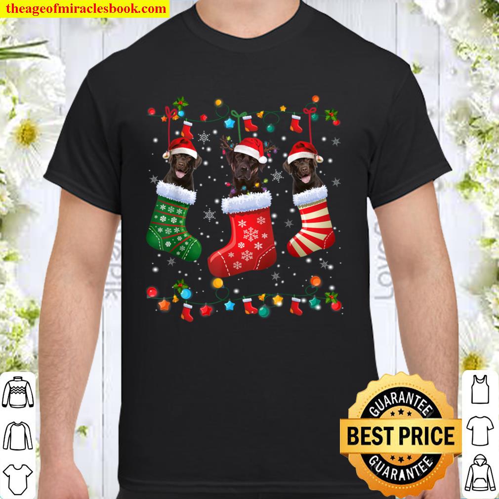 Chocolate Lab Labrador Christmas Socks Funny Xmas Pajama Shirt, Hoodie, Long Sleeved, SweatShirt Chocolate Lab Labrador Christmas Socks Funny Xmas Pajama Shirt, Hoodie, Long Sleeved, SweatShirt