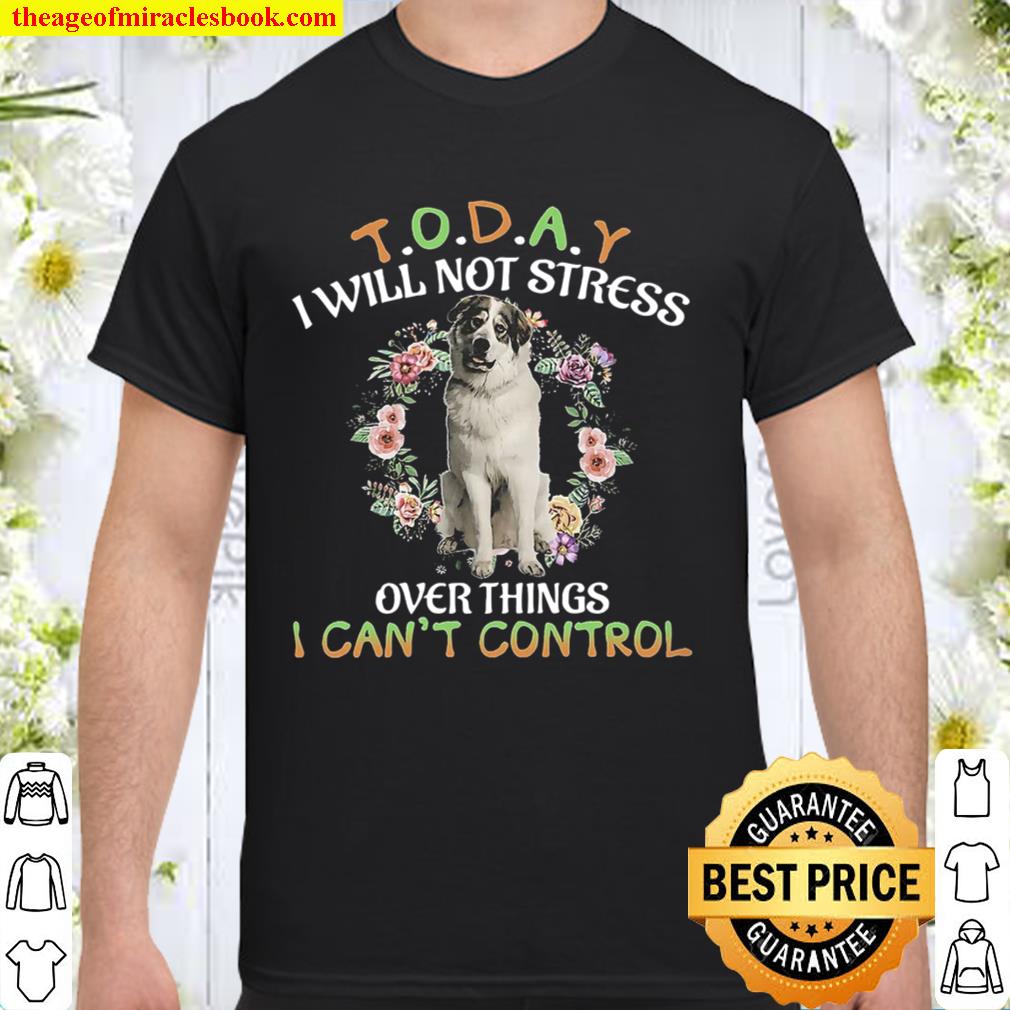 Great Pyrenees Today I Will Not Stress Over Things I Can’t Control 2020 Shirt, Hoodie, Long Sleeved, SweatShirt Great Pyrenees Today I Will Not Stress Over Things I Can’t Control 2020 Shirt, Hoodie, Long Sleeved, SweatShirt