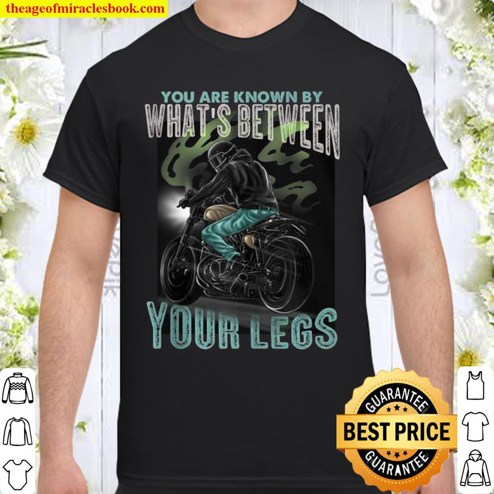 You Are Known By What’s Between Your Legs Motorcycle new Shirt, Hoodie, Long Sleeved, SweatShirt