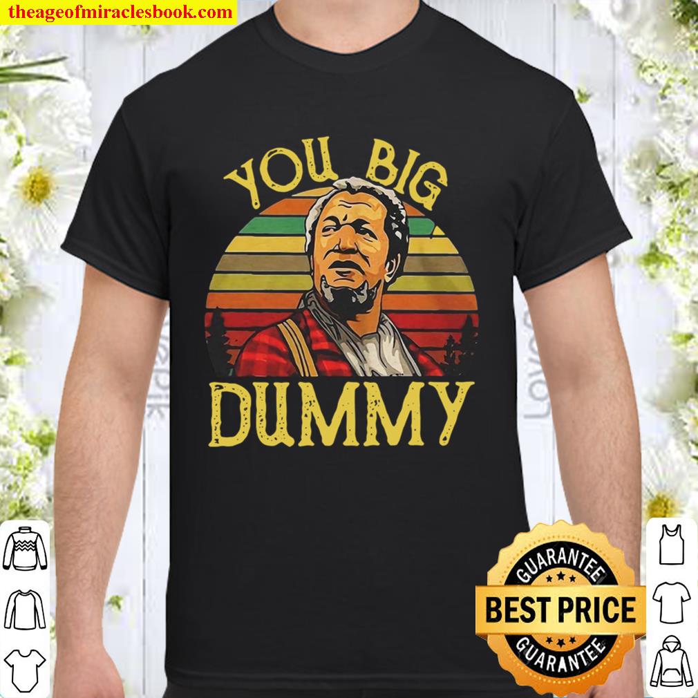 You Big Dummy limited Shirt, Hoodie, Long Sleeved, SweatShirt