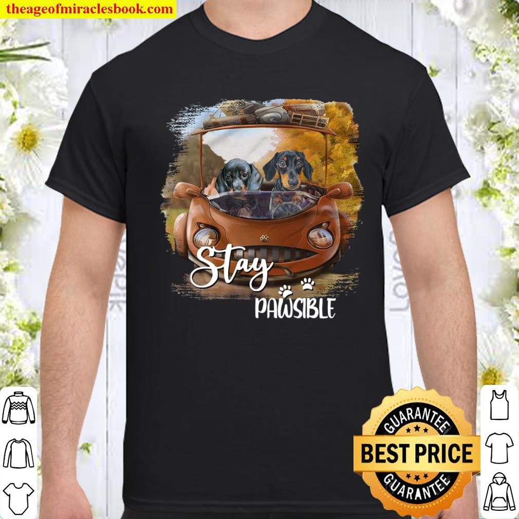 Dachshund Stay Pawsible shirt, hoodie, tank top, sweater Dachshund Stay Pawsible shirt, hoodie, tank top, sweater