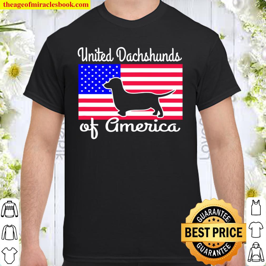Patriotic Dachshund American Flag limited Shirt, Hoodie, Long Sleeved, SweatShirt