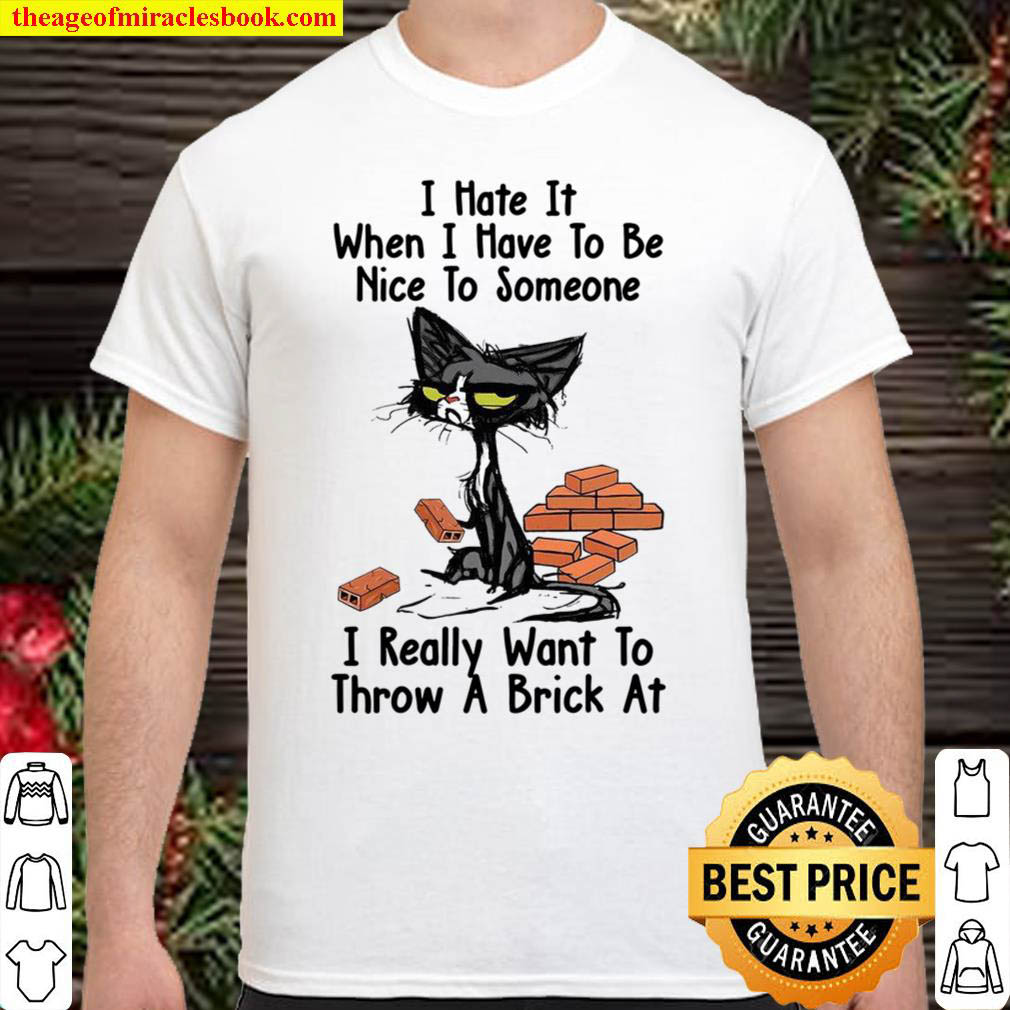[Best Sellers] – I Hate It When I Have To Be Nice To Someone I Really Want To Throw A Brick At Shirt