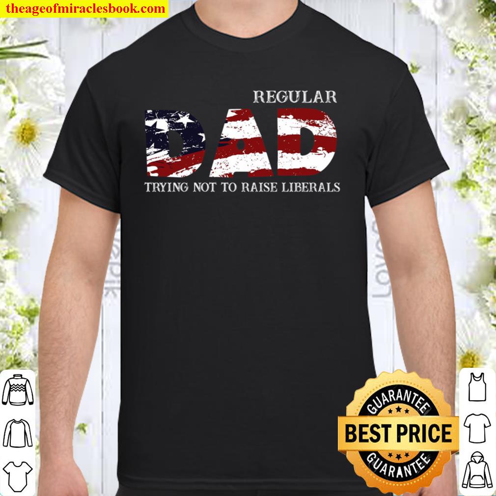 Regular Dad Trying Not To Raise Liberals Shirt, Hoodie, Long Sleeved, SweatShirt