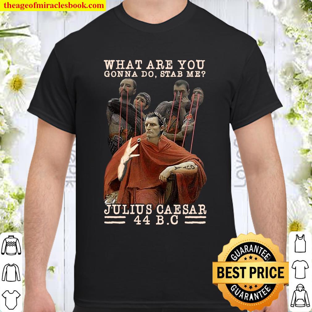 What Are You Gonna Do Stab Me Julius Caesar 44 BC Shirt What Are You Gonna Do Stab Me Julius Caesar 44 BC Shirt