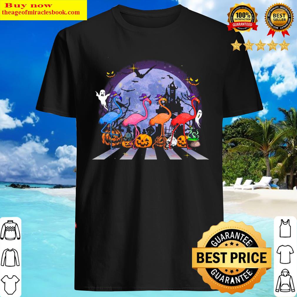 Premium Flamingo Witch Abbey Road Happy Halloween 2021 Shirt