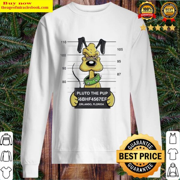 Nice pluto the mugshot party Sweater