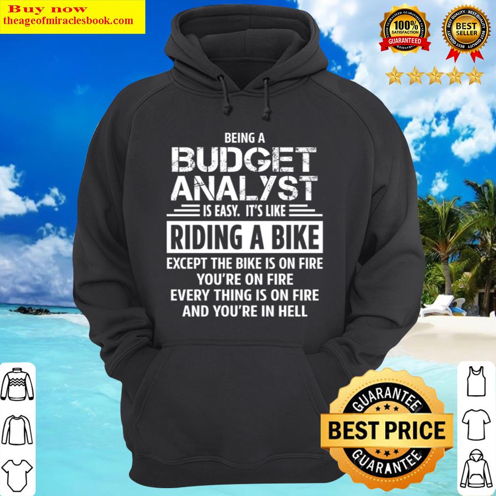 budget analyst hoodie