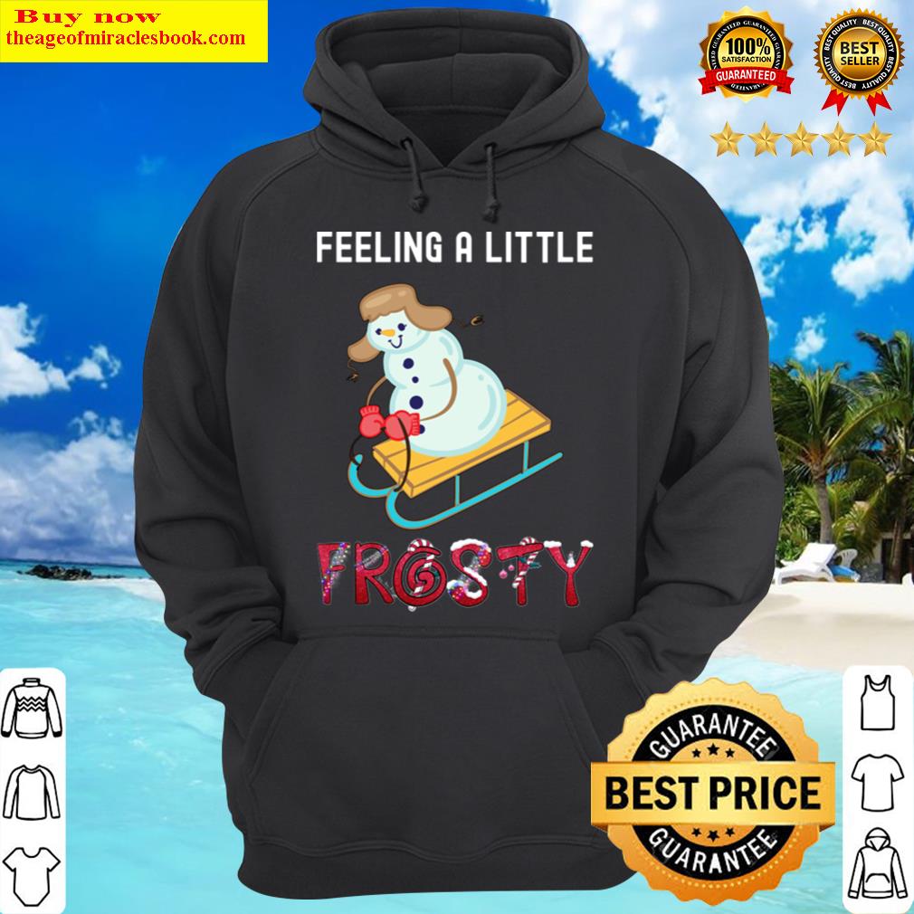 feeling a little frosty wintertime hoodie